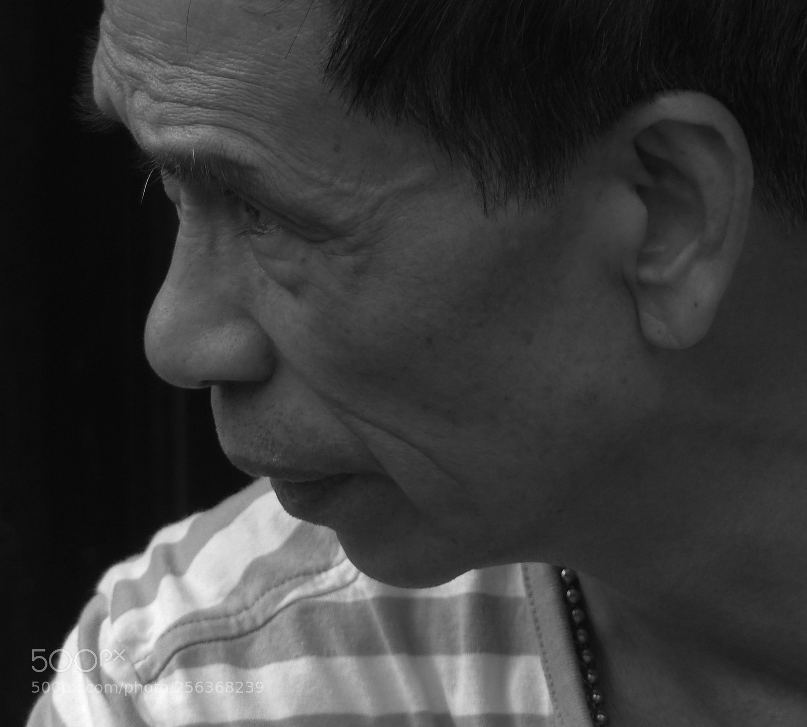 Panasonic Lumix DMC-FZ200 sample photo. Flushing bw photography