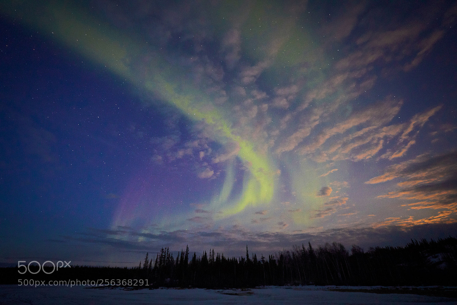Canon EOS 5D Mark IV sample photo. Auroras in yellowknife, canada photography