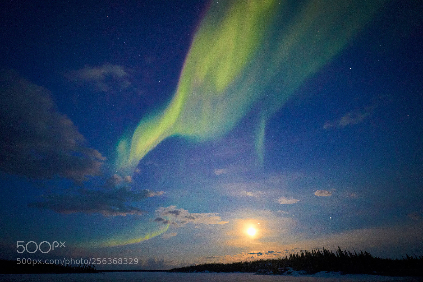 Canon EOS 5D Mark IV sample photo. Auroras in yellowknife, canada photography