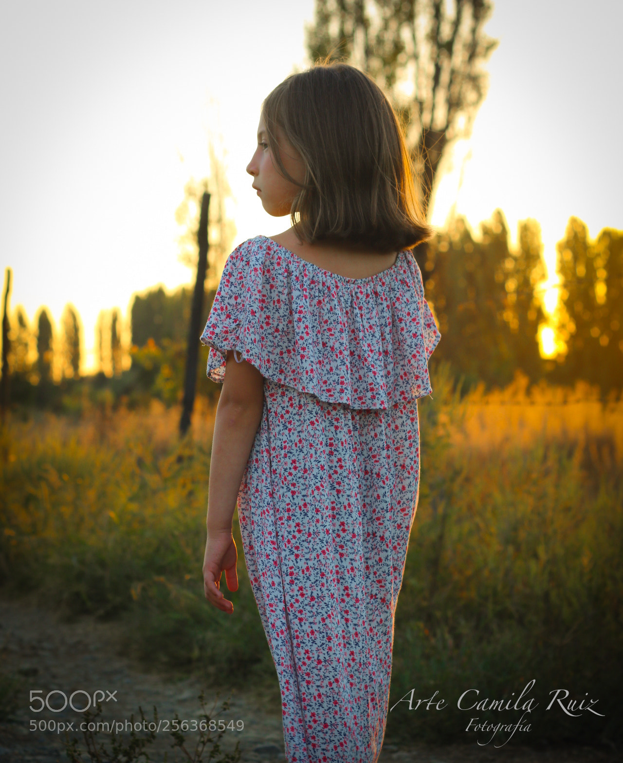 Canon EOS 70D sample photo. Magic field photography