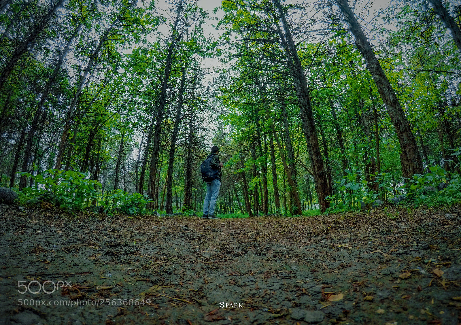 GoPro Hero5 Black sample photo. Travel <3 photography