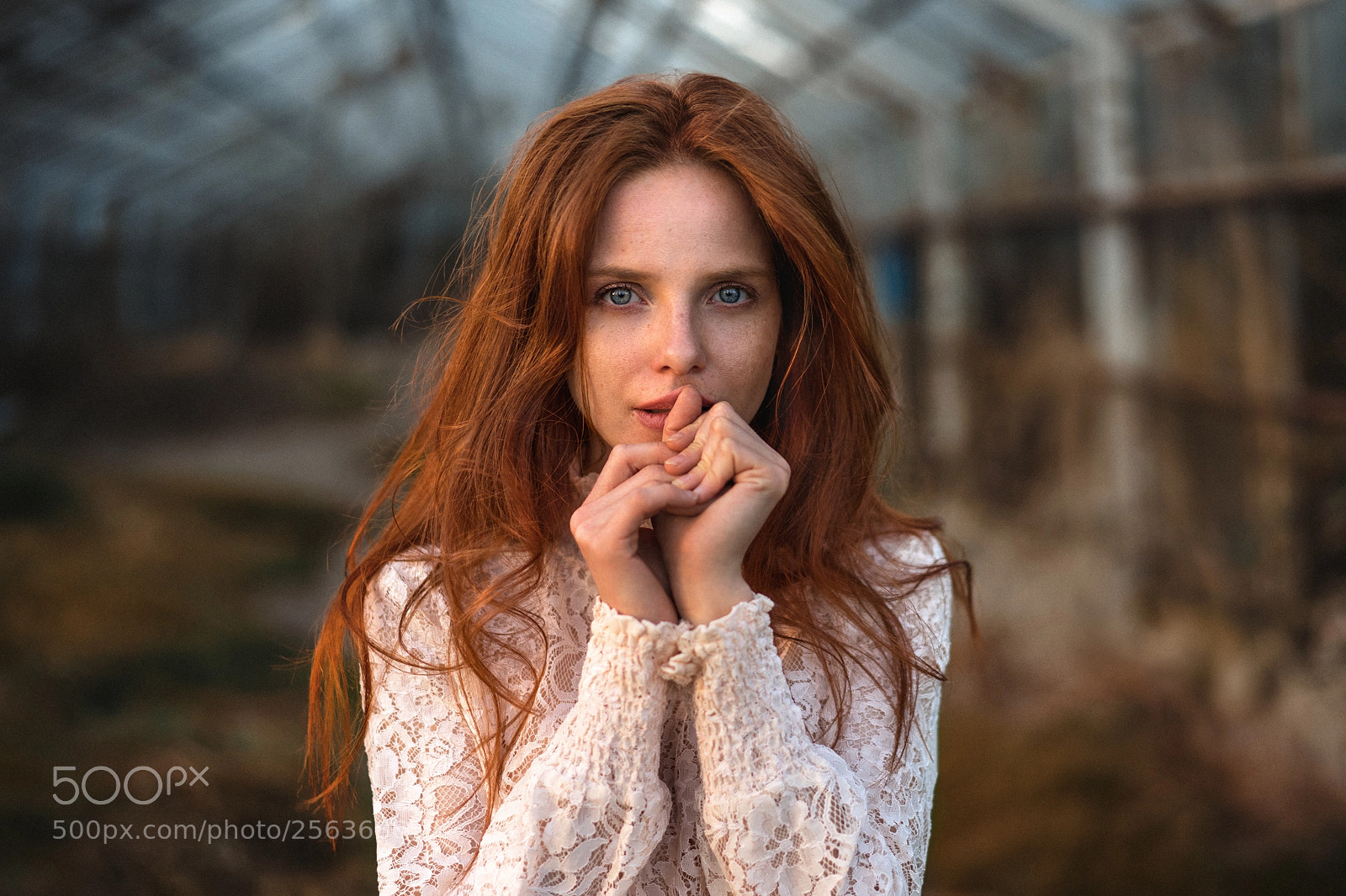 Sony a7 II sample photo. Widget photography