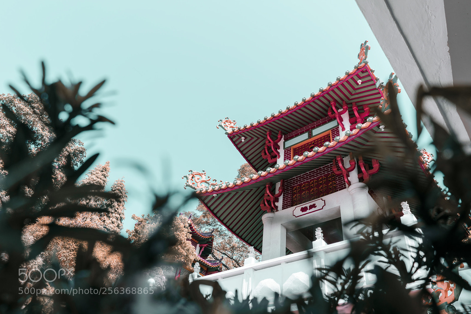 Sony a7R II sample photo. Ma cho temple photography