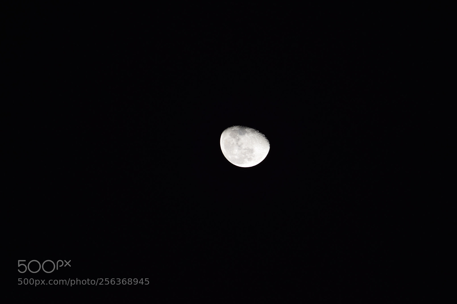 Nikon D3300 sample photo. Melt in moon photography