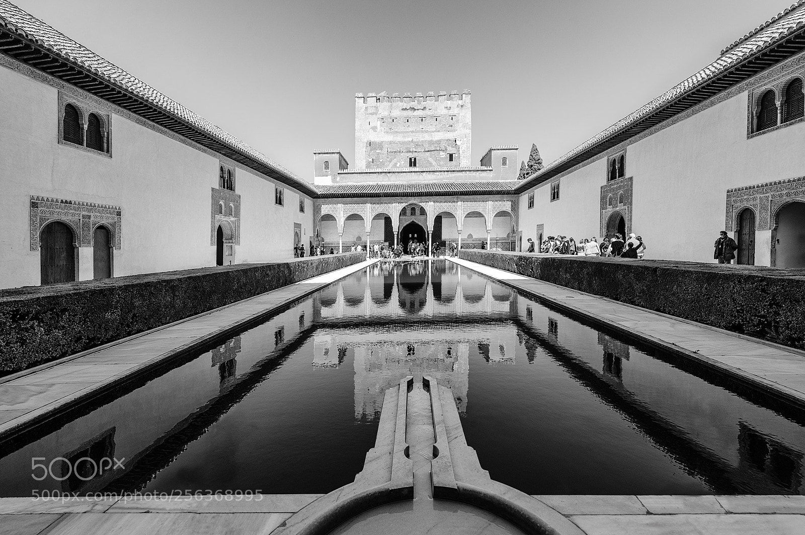 Nikon D800 sample photo. Alhambra patio 1 photography