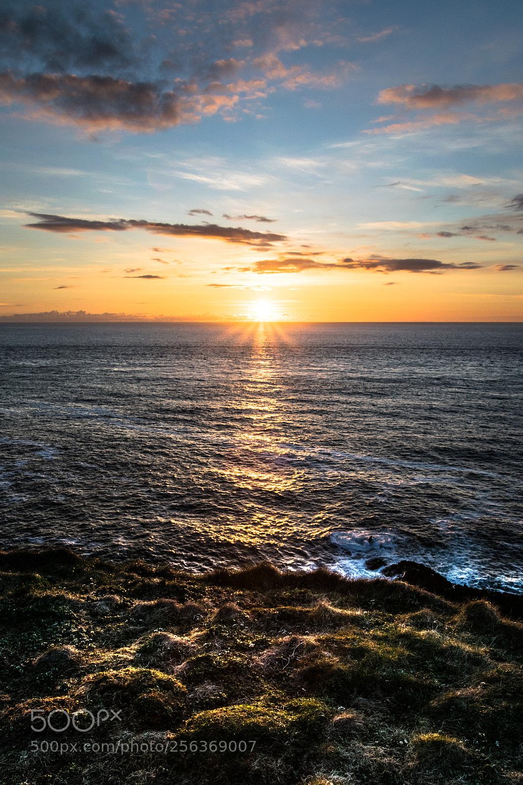 Nikon D5300 sample photo. Last rays of sunlight photography