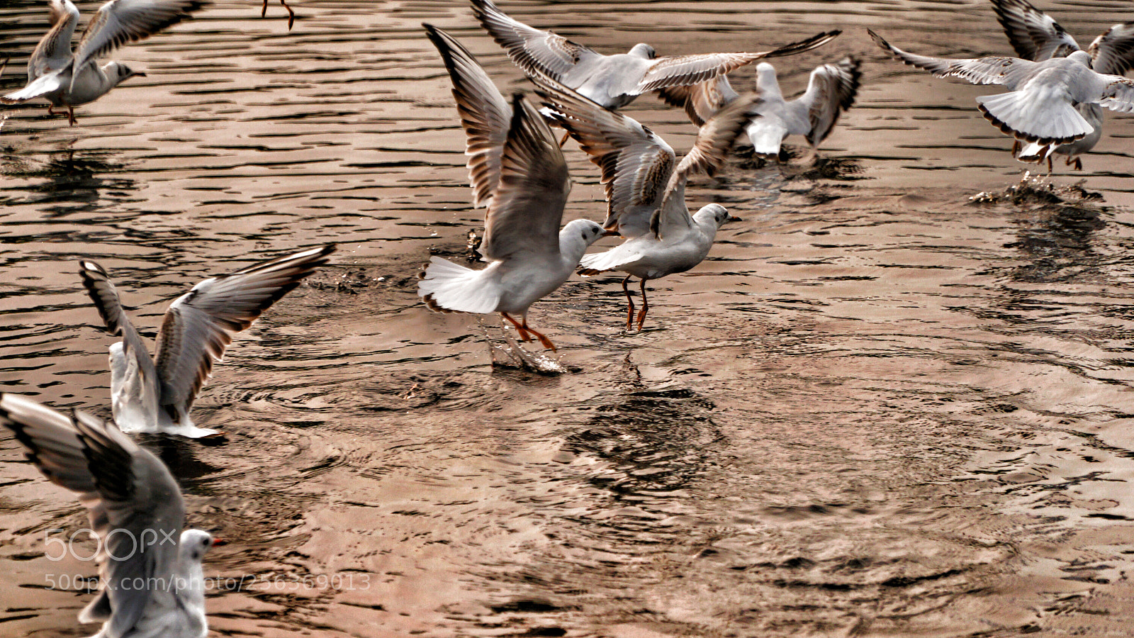 Sony a6000 sample photo. Take off photography