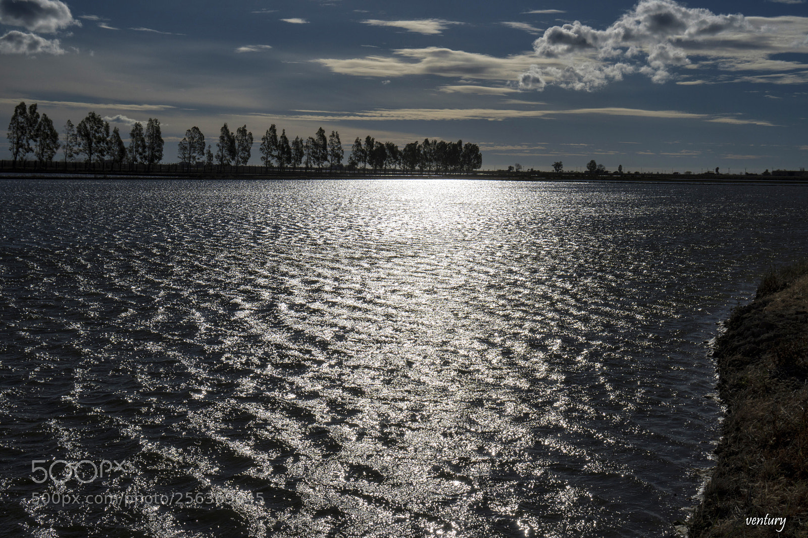 Sony a6500 sample photo. Silver sunsets photography