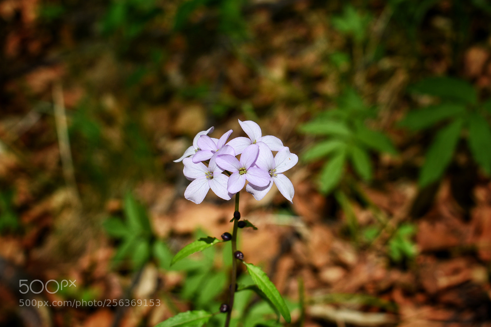 Nikon D3400 sample photo. Untitled photography
