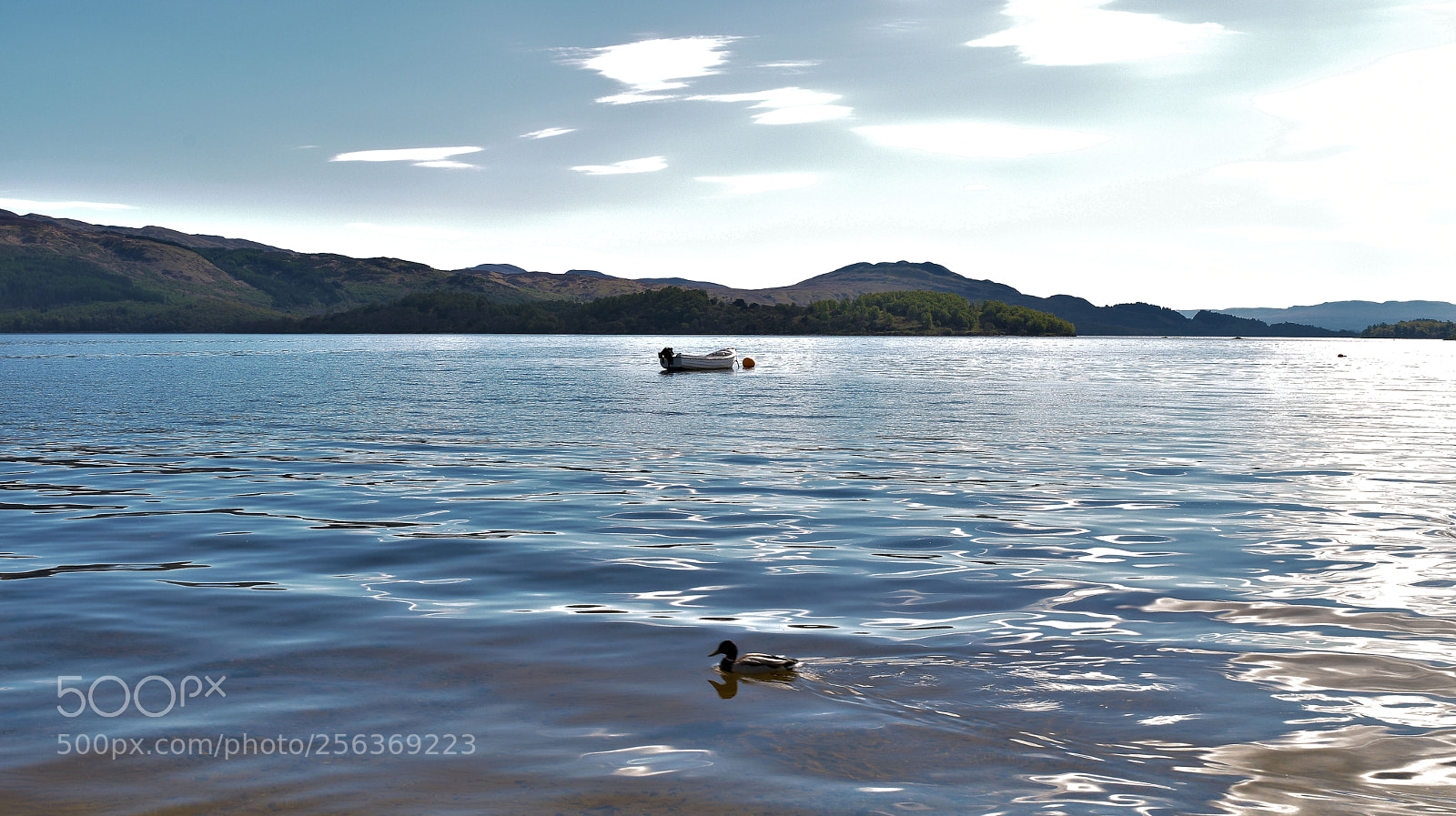 Nikon D5500 sample photo. Luss  loch lomond photography