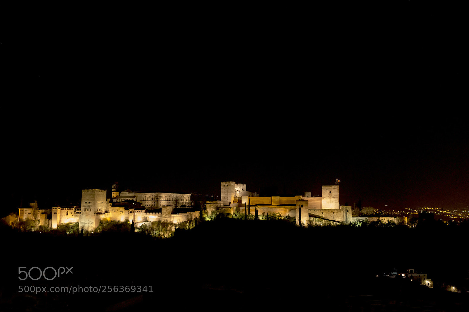 Nikon D800 sample photo. Alhambra by night photography