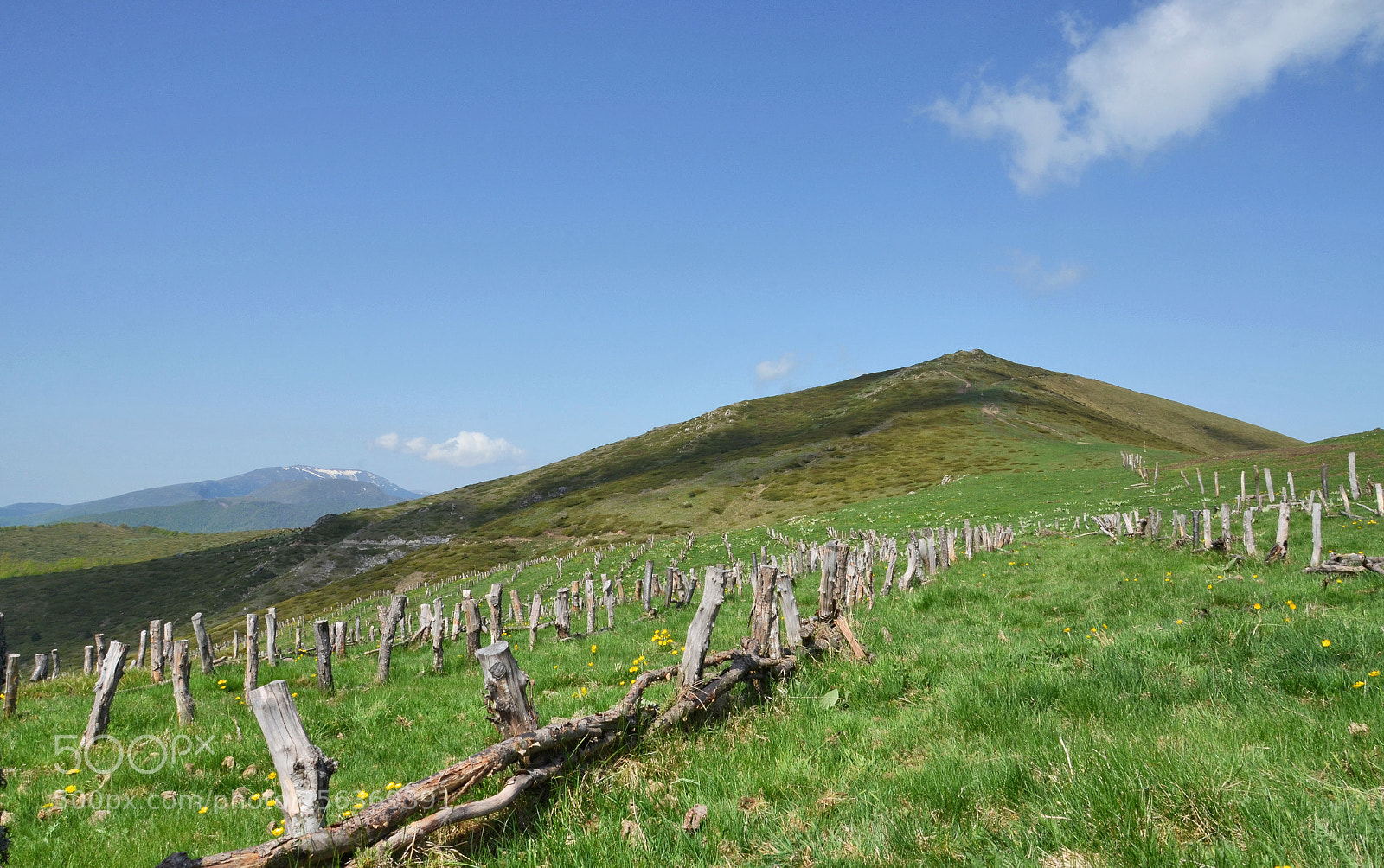 Nikon D7000 sample photo. Old mountain -bulgaria photography