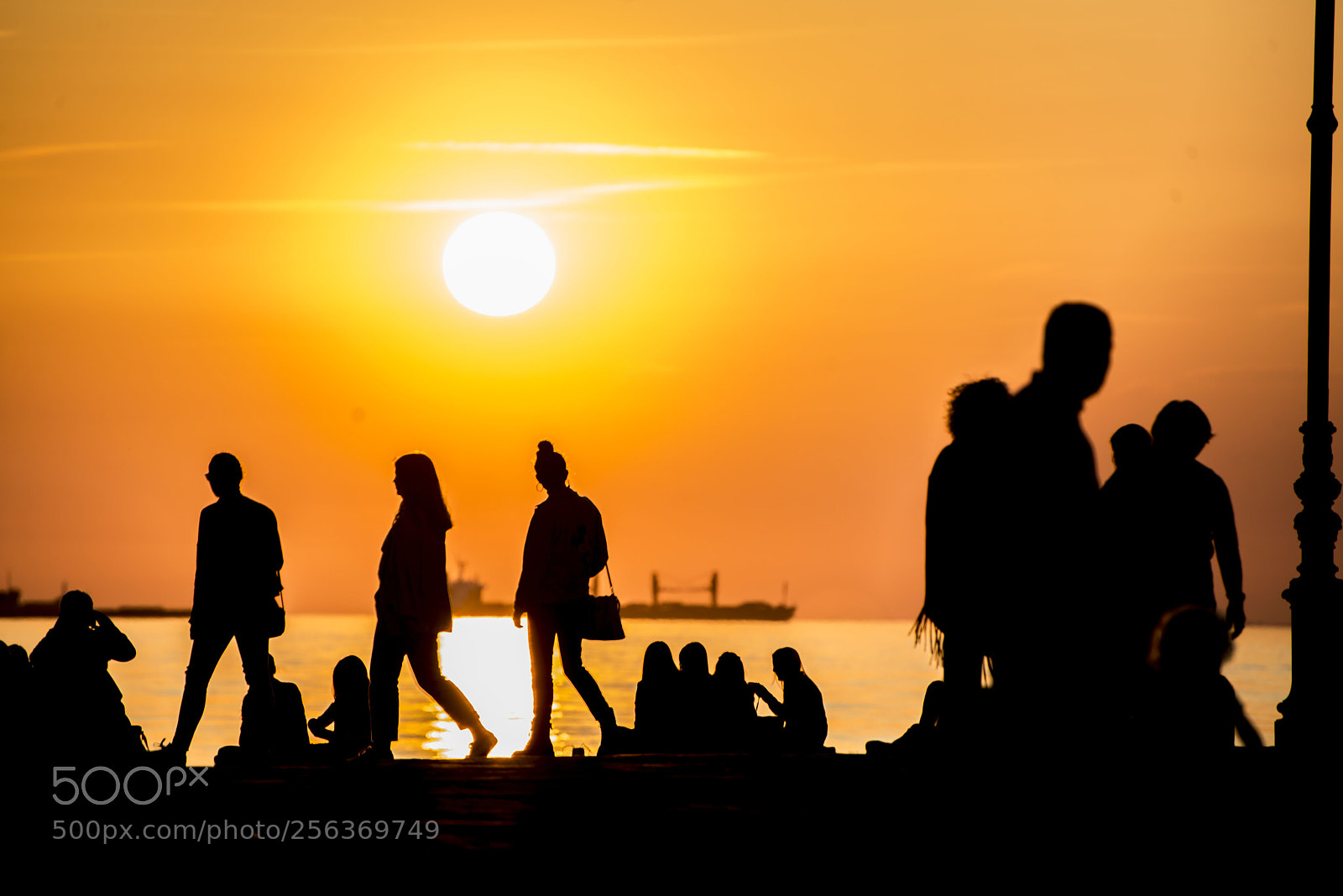 Nikon D800 sample photo. Silhouette photography