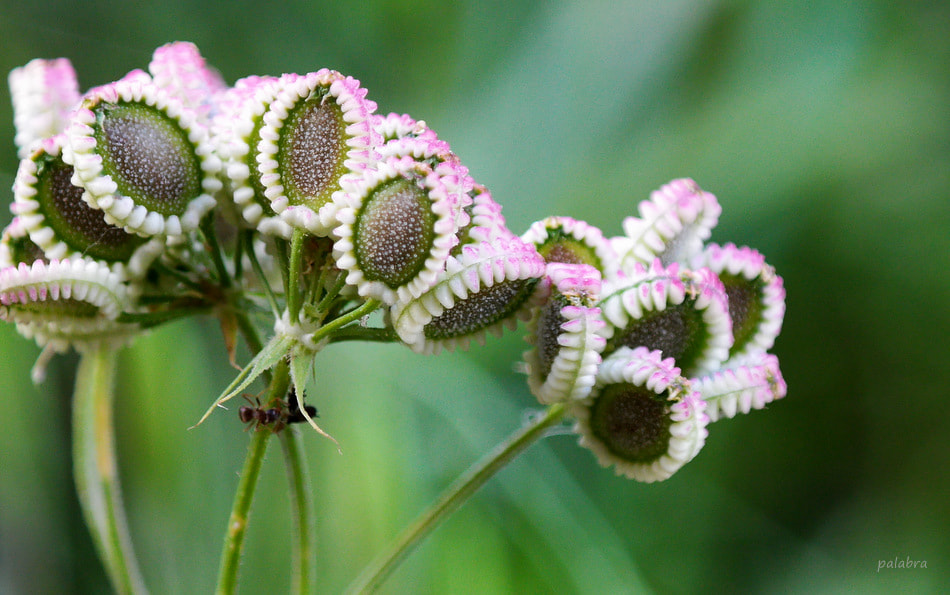 Samsung NX30 sample photo. ... photography