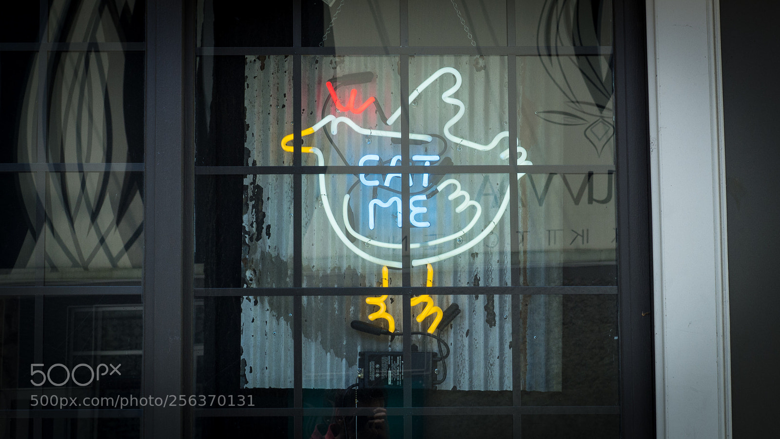 Olympus OM-D E-M10 sample photo. Eat me! photography