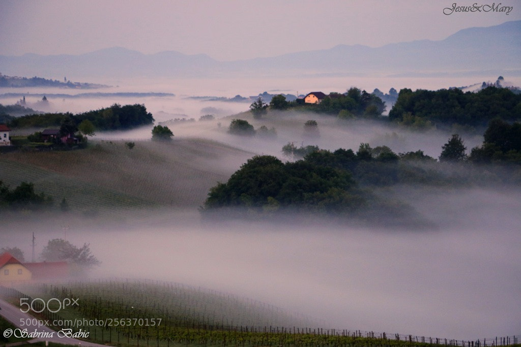 Canon EOS 70D sample photo. "breath-taking morning" photography
