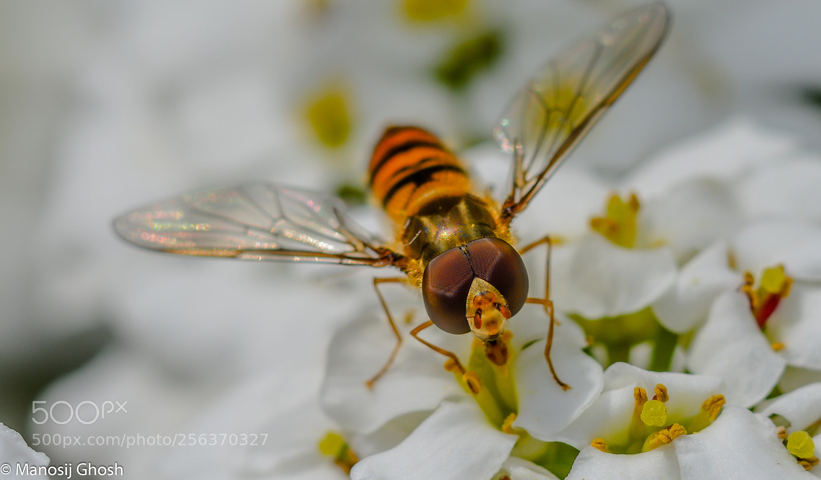 Nikon D5200 sample photo. . photography