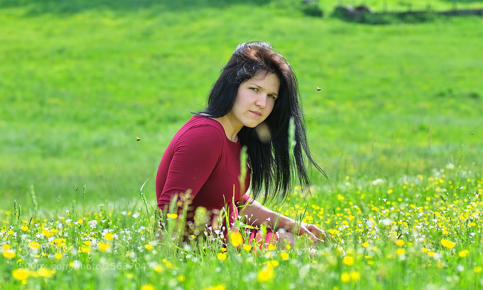 Nikon D7000 sample photo. Petra photography