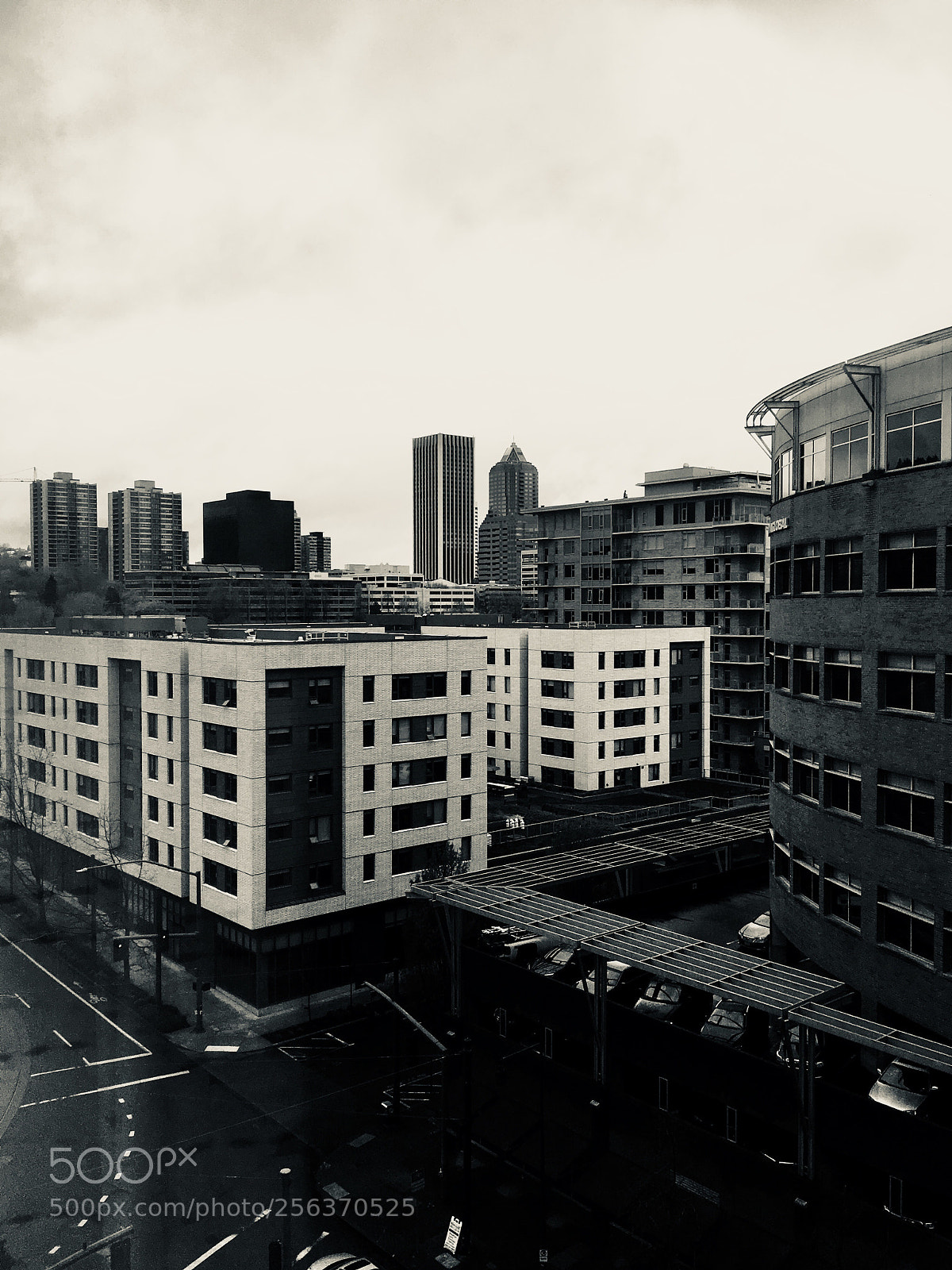Apple iPhone SE sample photo. Untitled photography