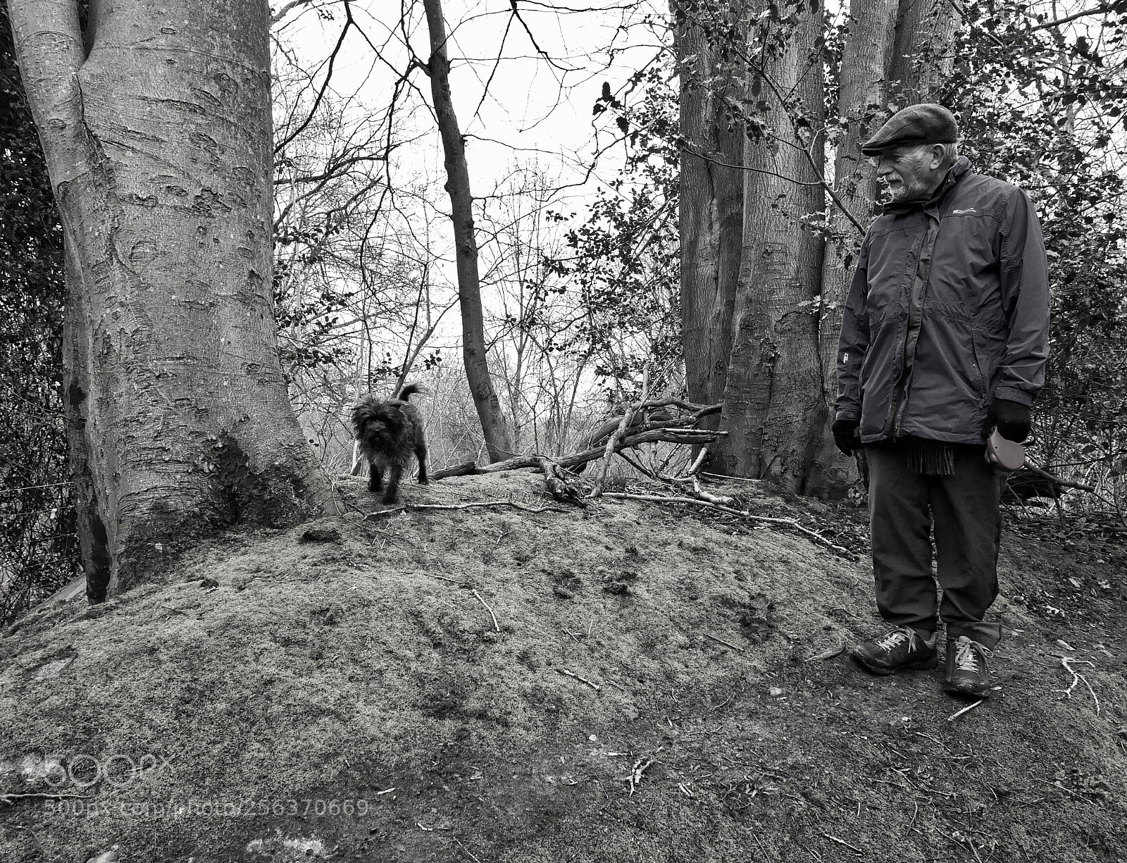 Panasonic Lumix DMC-LX100 sample photo. Man's best friend photography