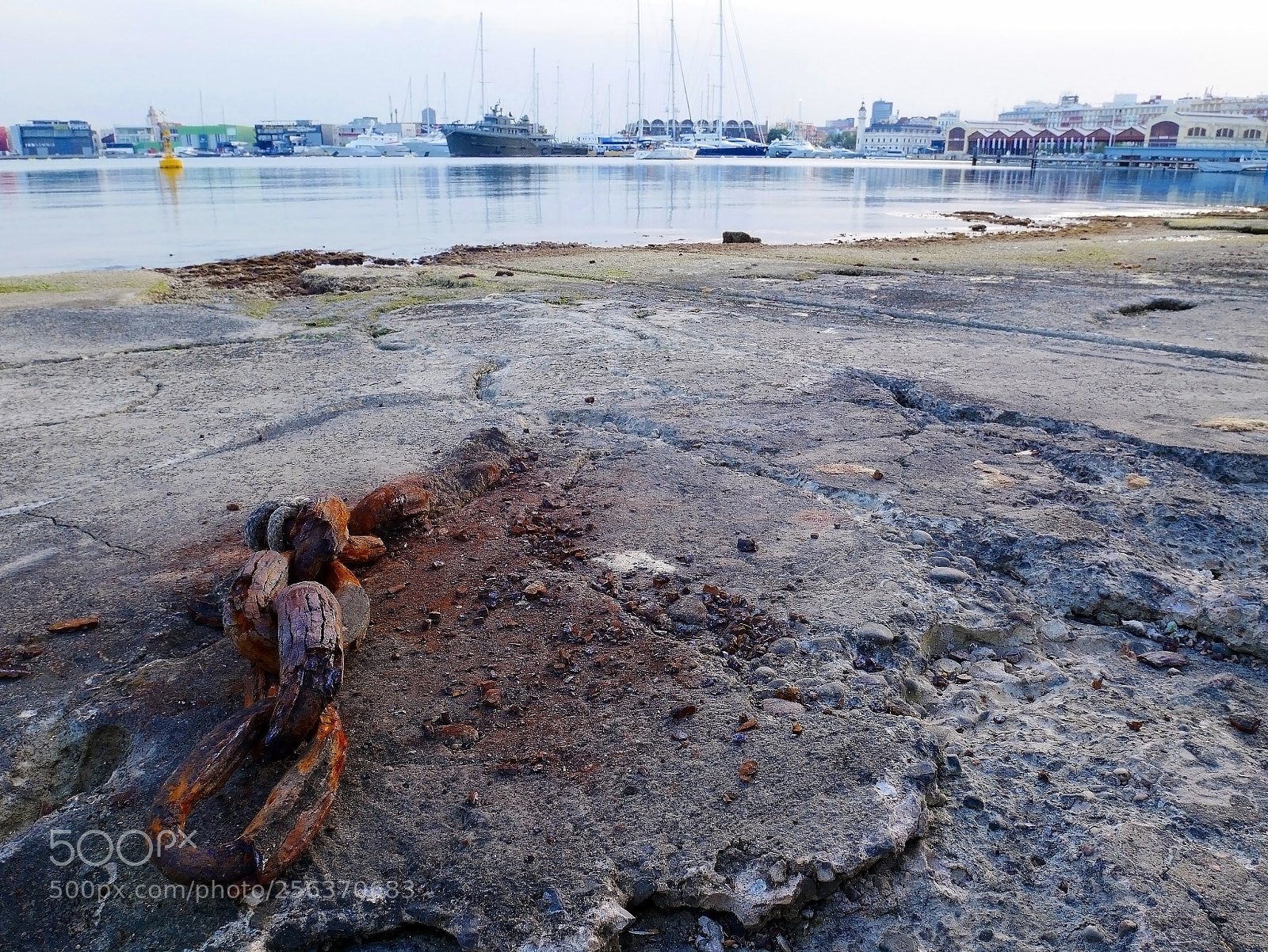 Panasonic Lumix DMC-GX85 (Lumix DMC-GX80 / Lumix DMC-GX7 Mark II) sample photo. Cadena photography