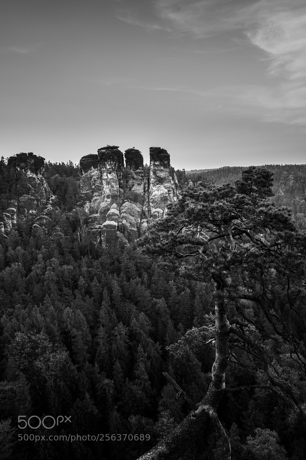 Sony a6000 sample photo. Bastei elbsandstein photography