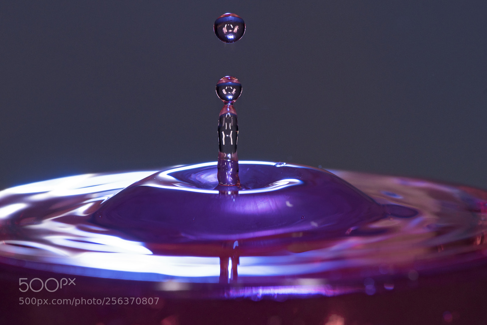 Nikon D810 sample photo. Water drop photography. photography