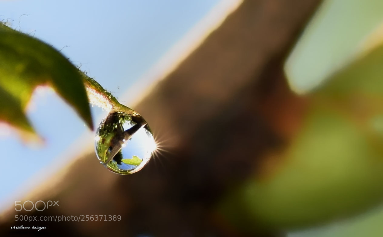 Nikon D7200 sample photo. Ab photography
