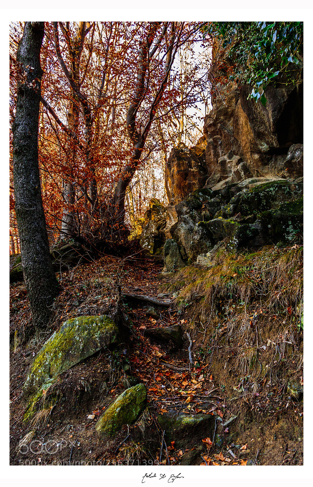 Canon EOS 77D (EOS 9000D / EOS 770D) sample photo. Earth photography