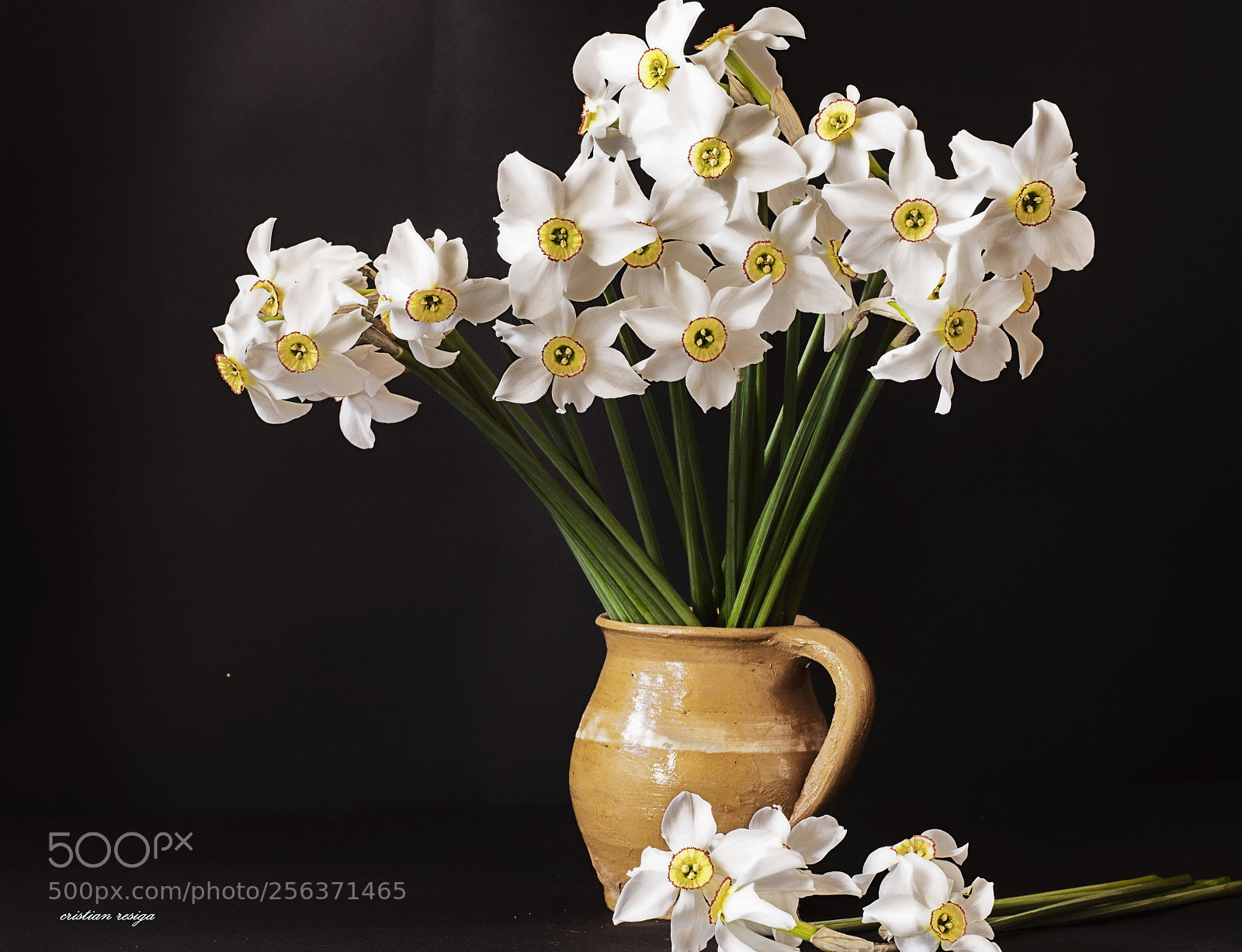 Nikon D7200 sample photo. Abc photography
