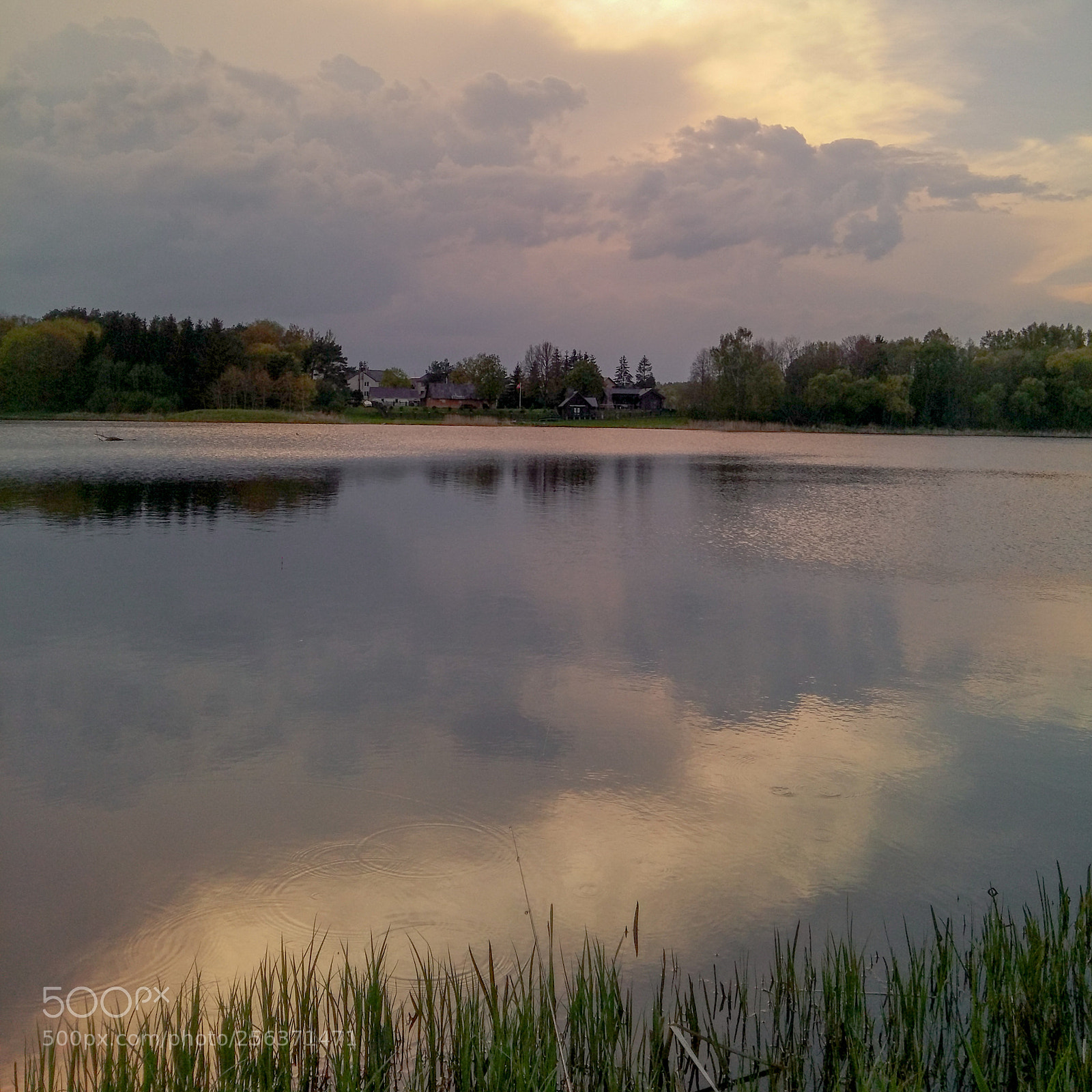 Samsung Galaxy A5 sample photo. Untitled photography