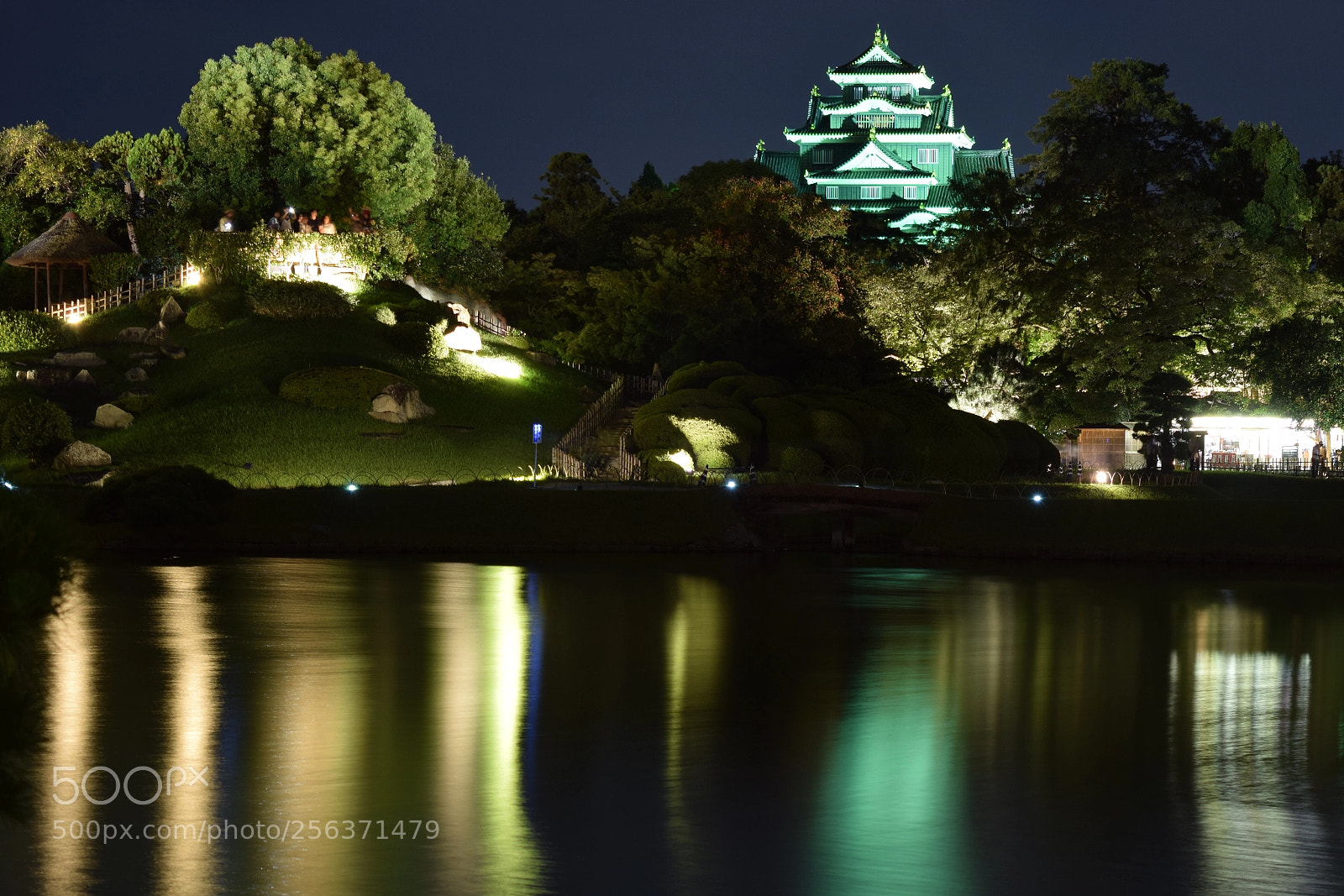 Nikon D5300 sample photo. Okayama castle at night photography