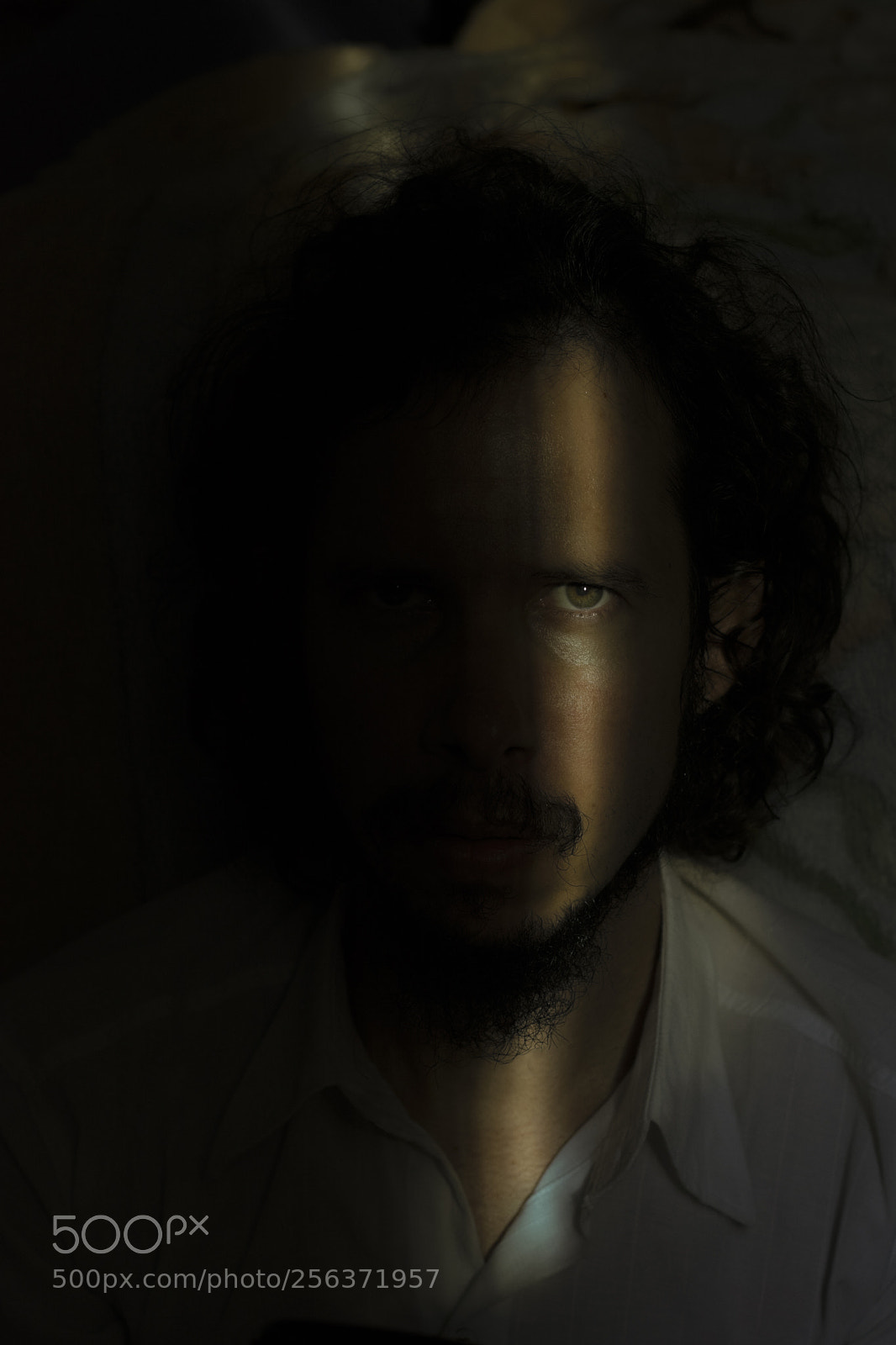 Nikon D7100 sample photo. Coy photography