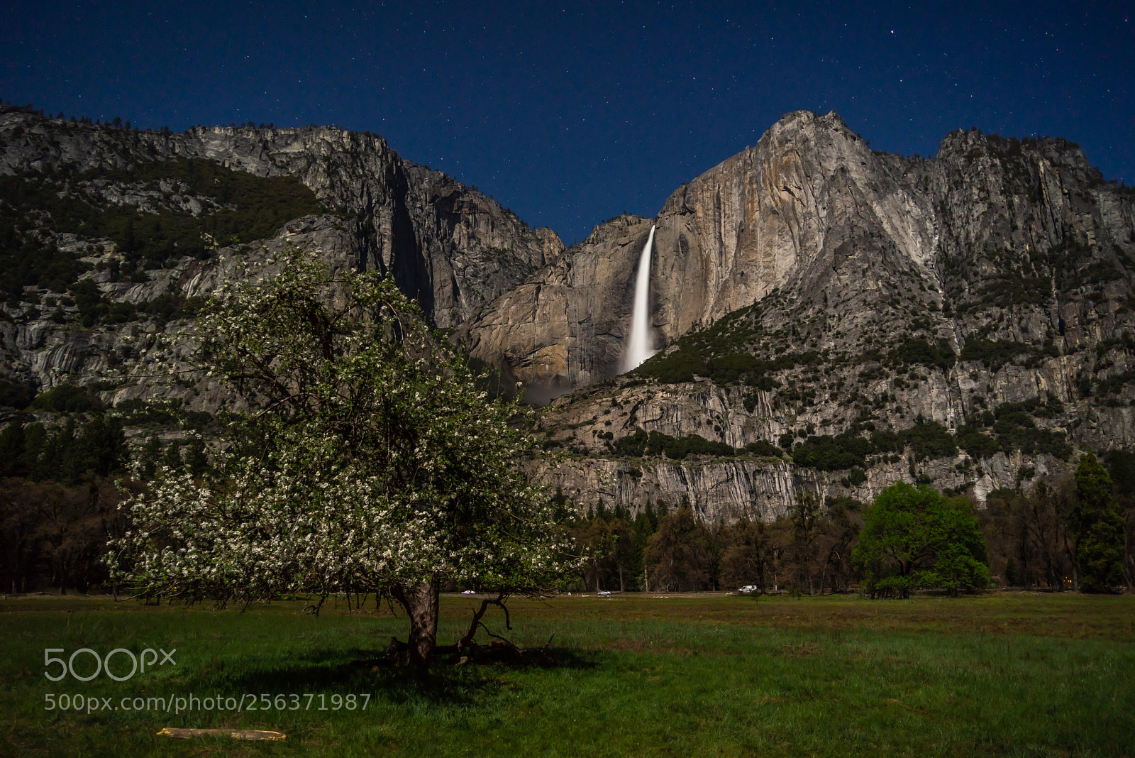 Sony a7R sample photo. Yosemite photography