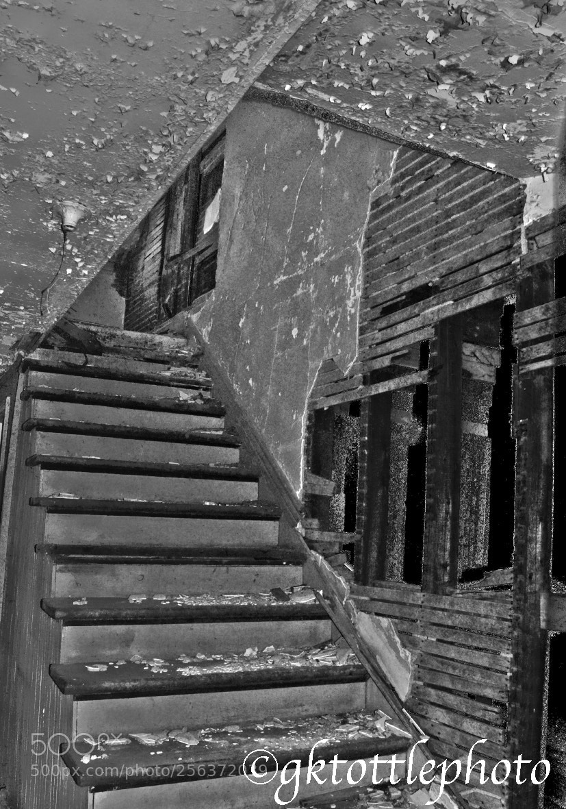 Nikon D90 sample photo. Abandoned photography