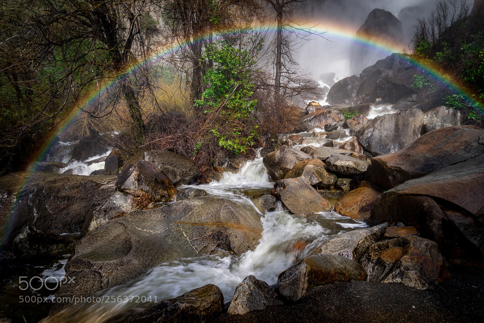 Sony a7R sample photo. Yosemite photography