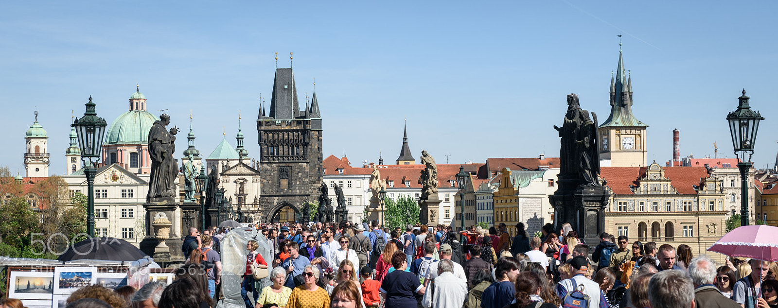 Nikon D750 sample photo. Crowd and the charles photography