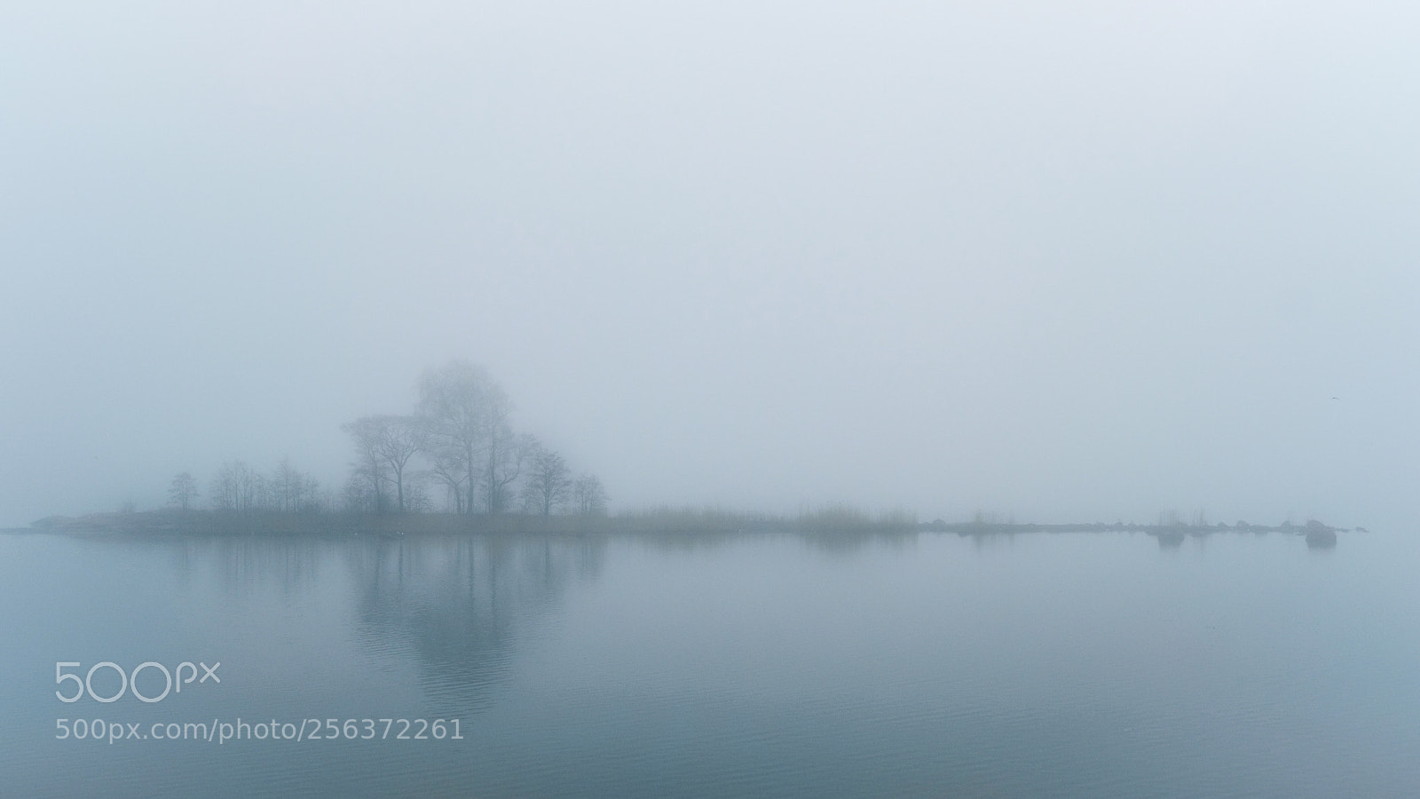 Fujifilm X-T2 sample photo. Calm reflections photography