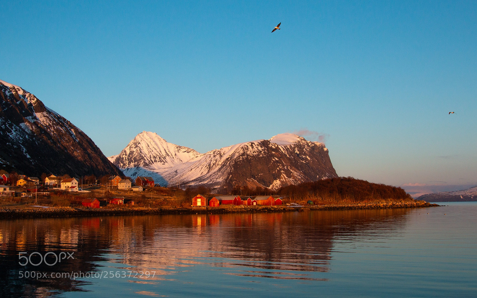Canon EOS 70D sample photo. Alvestad, norway photography