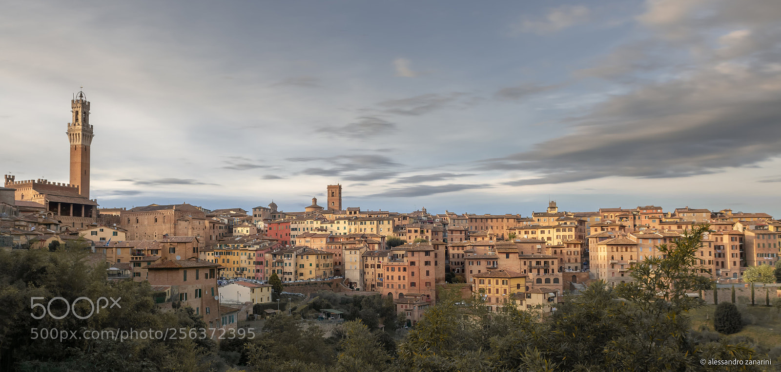 Nikon D7100 sample photo. Siena tuscany photography
