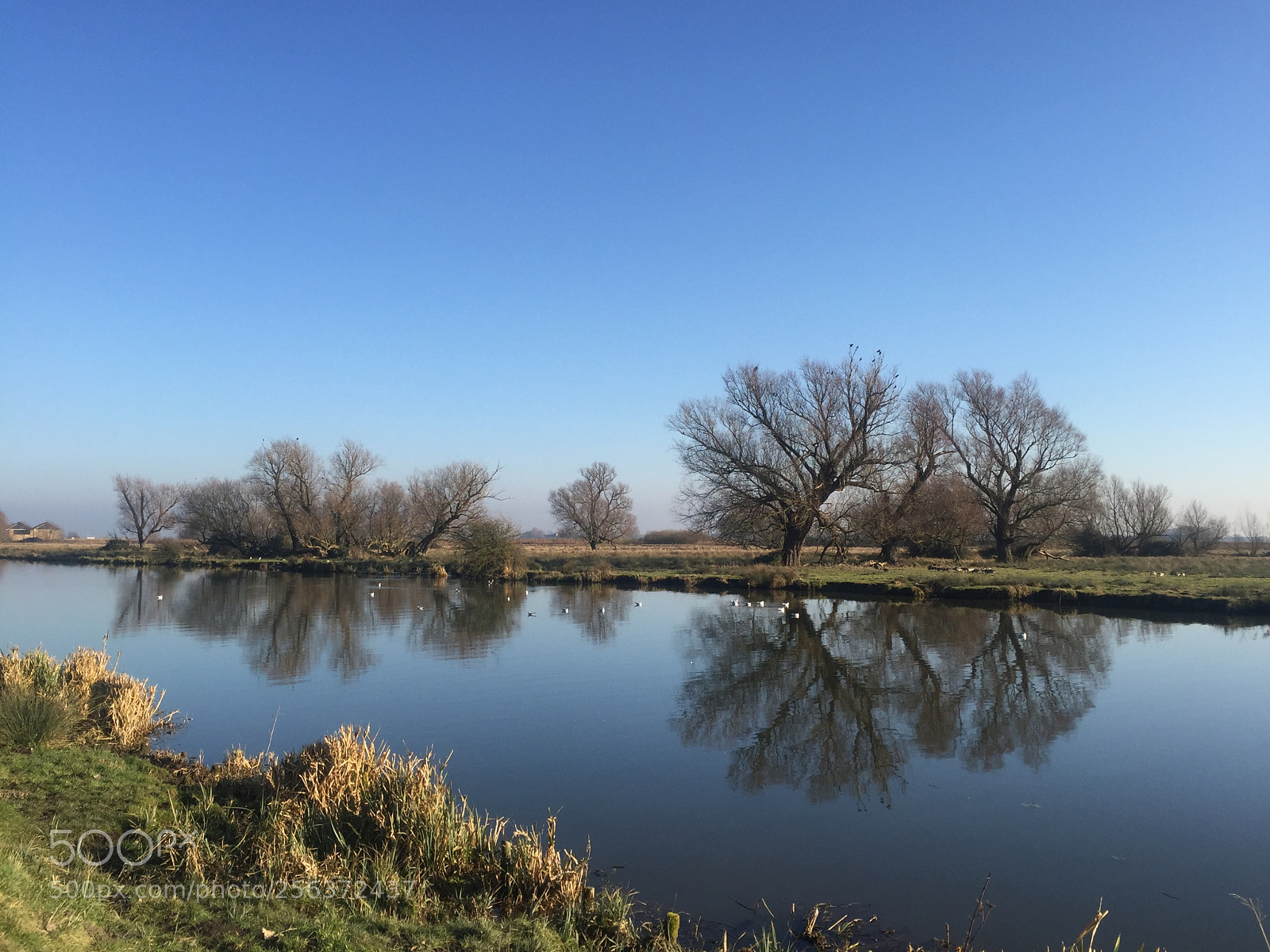 Apple iPhone 6 sample photo. Ely, cambridgeshire photography