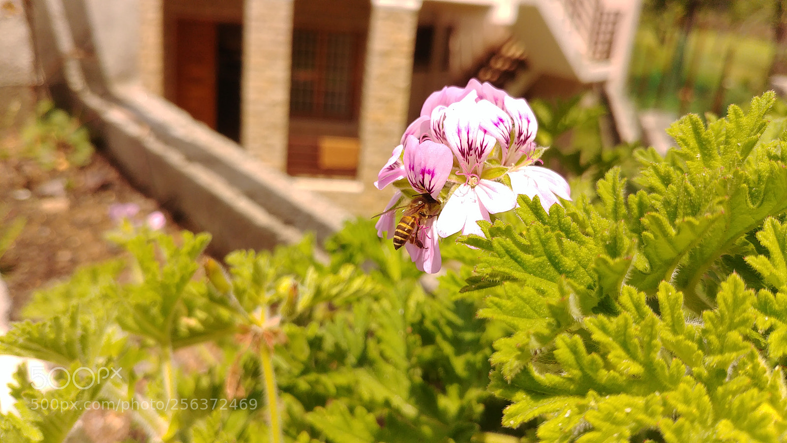 LG G6 sample photo. Untitled photography