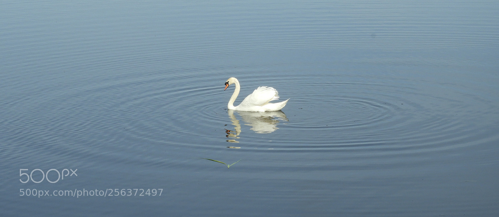 Nikon Coolpix B700 sample photo. In simplicity and symmetry photography