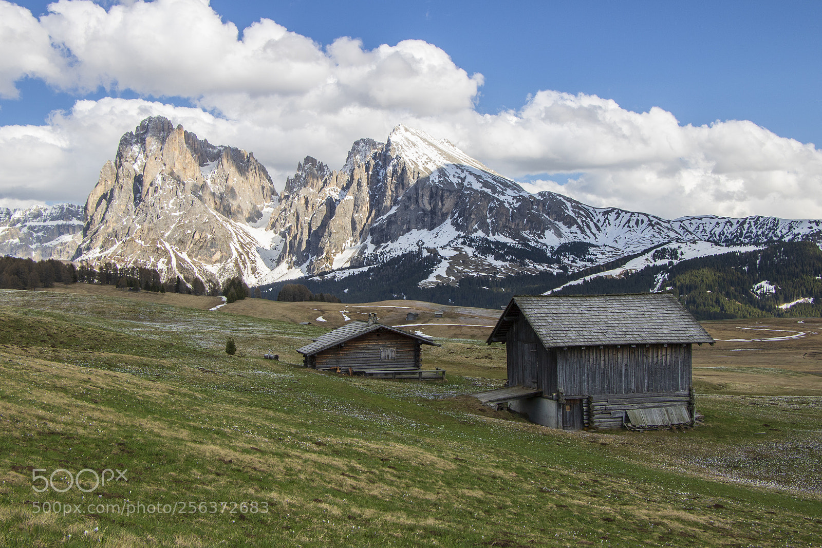 Canon EOS 750D (EOS Rebel T6i / EOS Kiss X8i) sample photo. Alpe di siusi photography