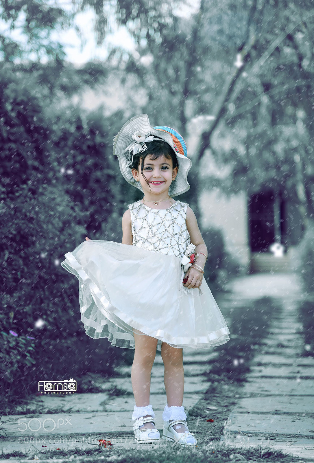Nikon D750 sample photo. Untitled photography