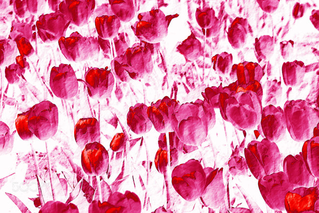Nikon D60 sample photo. Designer 016405 x12 photography