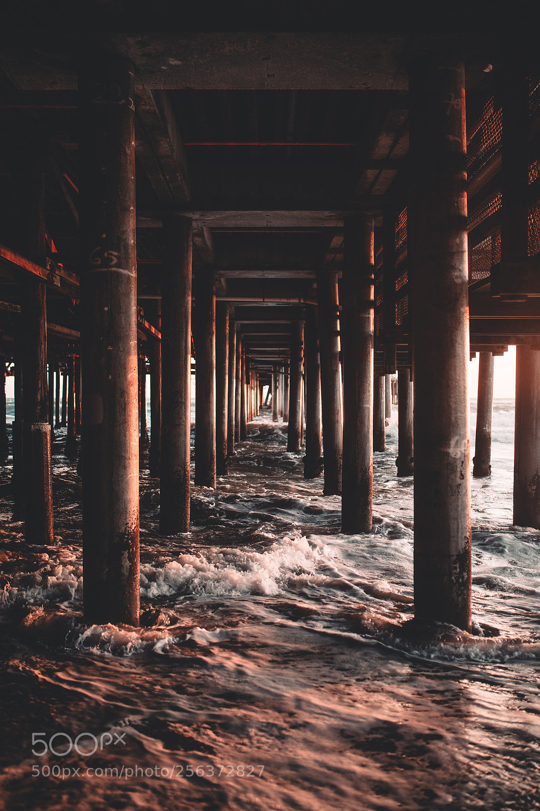 Canon EOS 6D sample photo. Under the santa monica photography