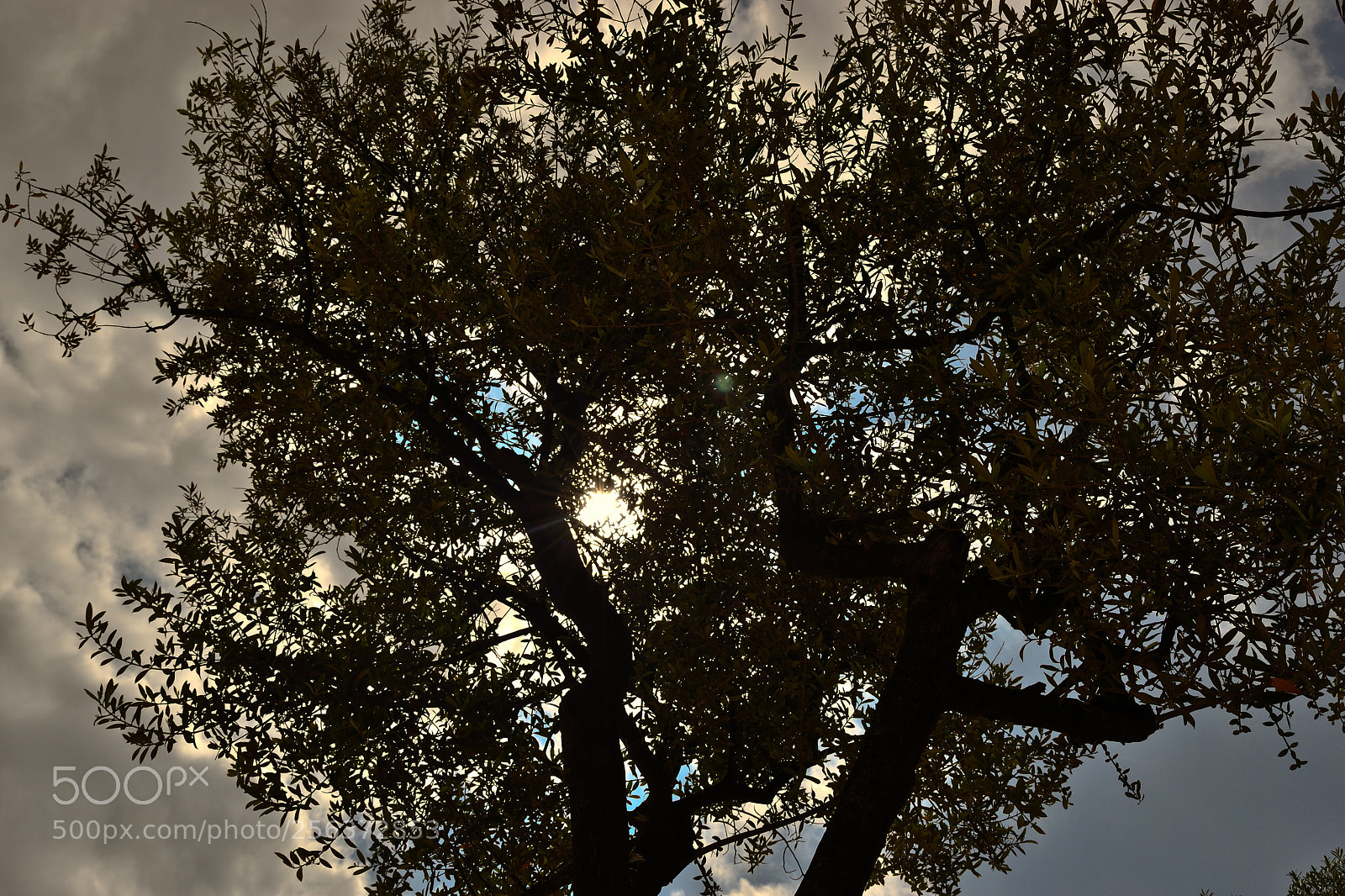 Nikon D3100 sample photo. Solitude photography
