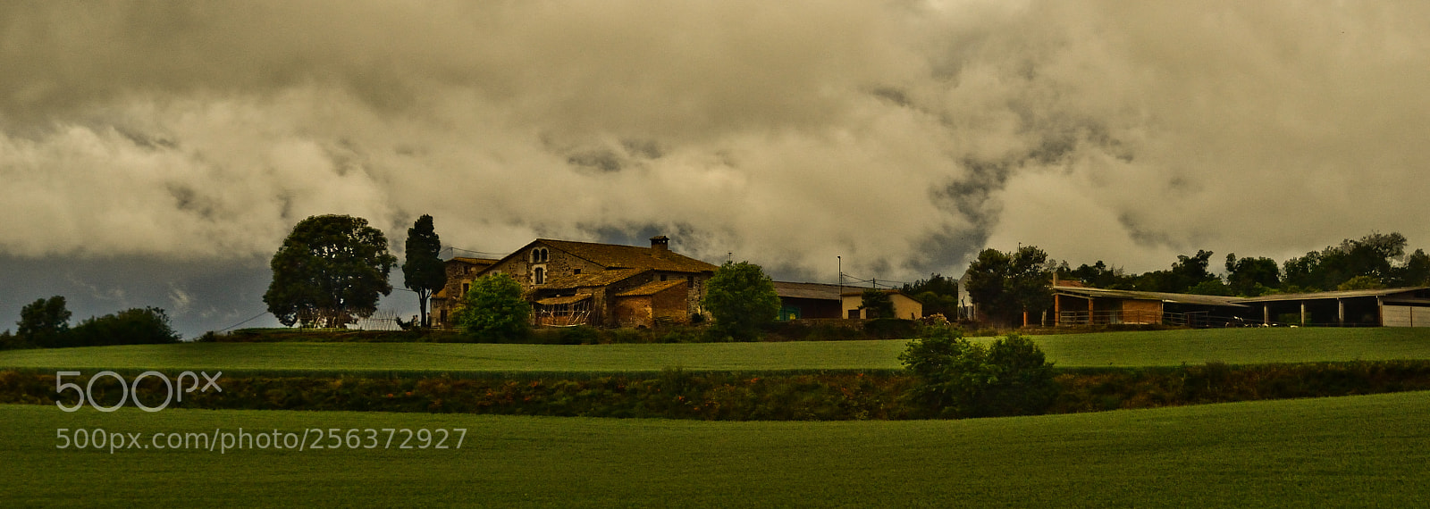 Nikon D3100 sample photo. Far from the hustle photography