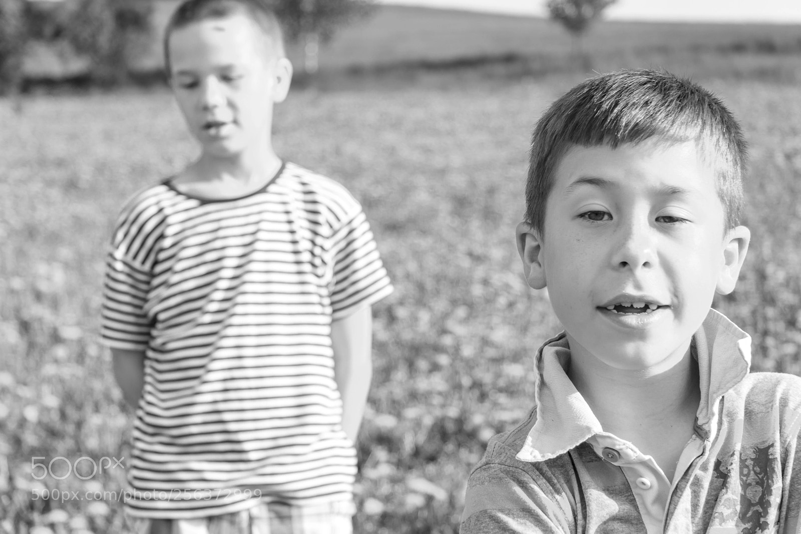 Canon EOS 60D sample photo. :-) photography
